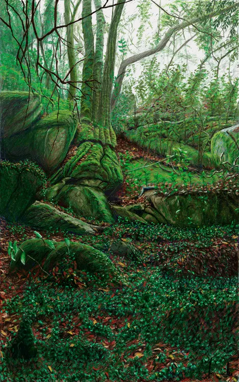 Bosque Encantado Sintra