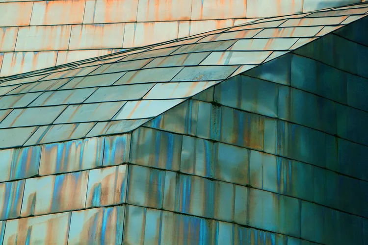 IN THE CITY 49