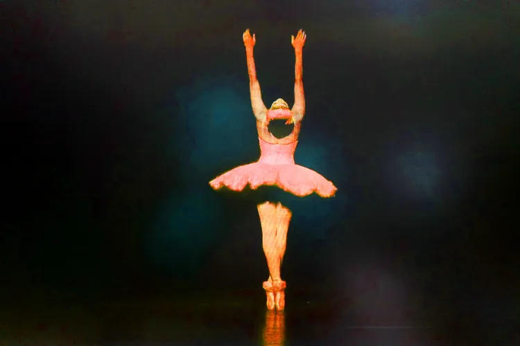 BLACK SWAN 41