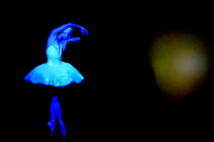 BLACK SWAN 55
