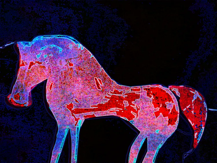 Horses of Hope