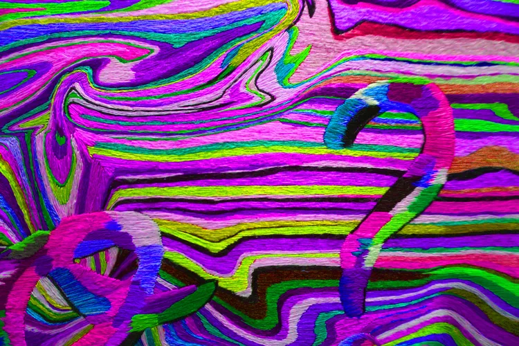 SENSATIONS 20