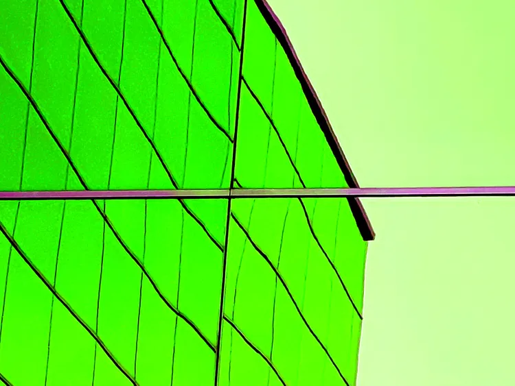 IN THE CITY 7