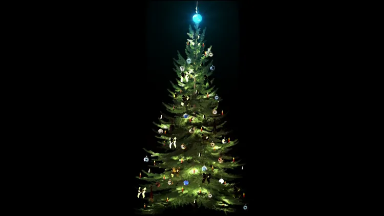Save the Christmas Tree