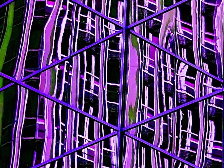 IN THE CITY 24
