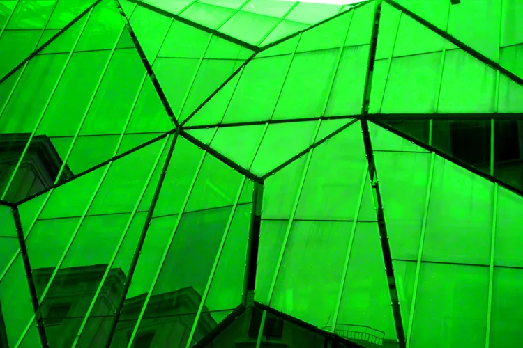 IN THE CITY 155