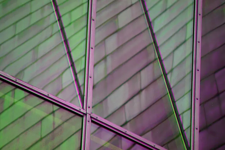 IN THE CITY 70