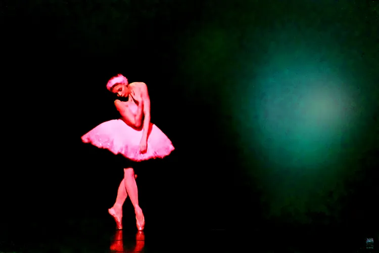BLACK SWAN 64
