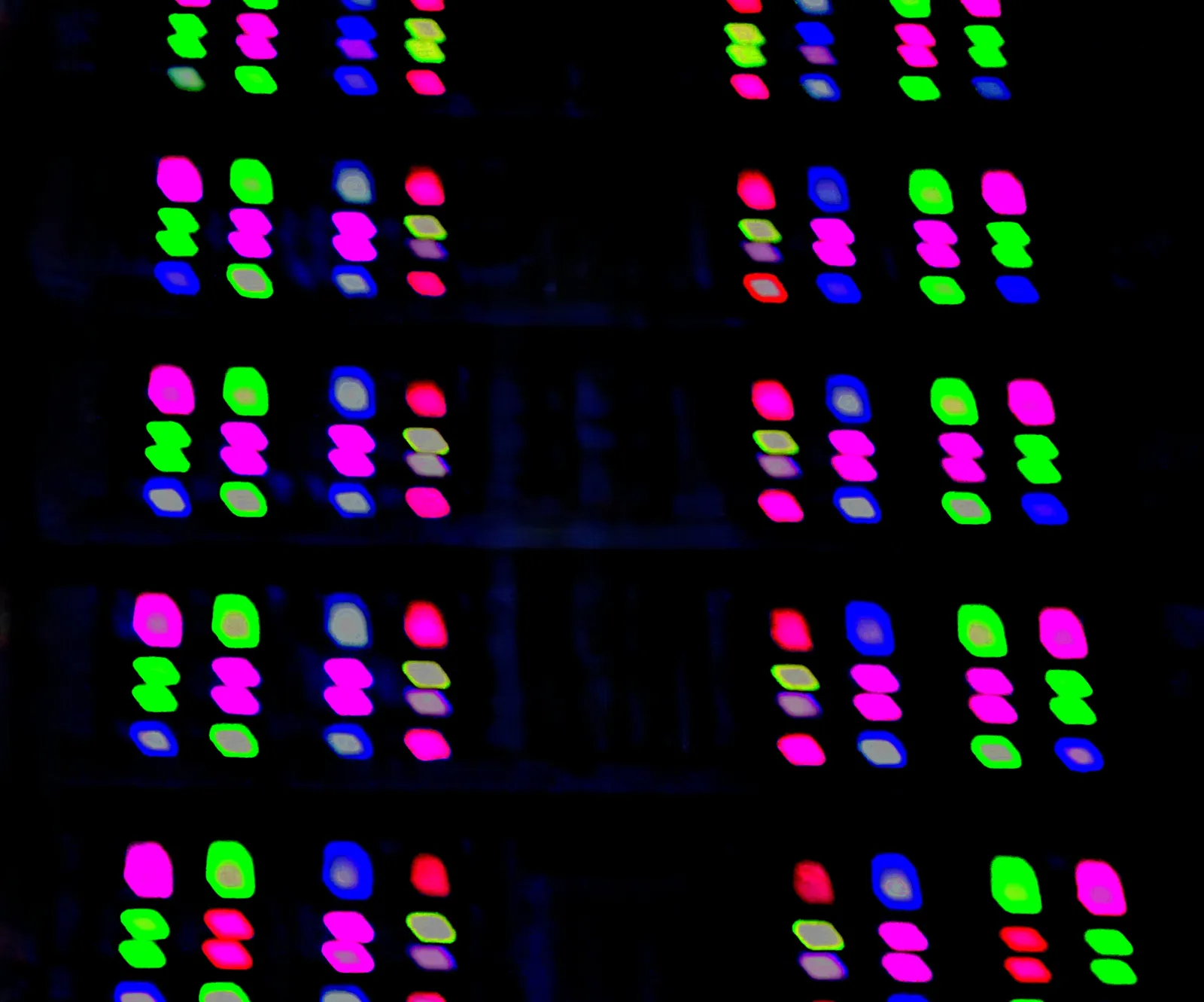 media