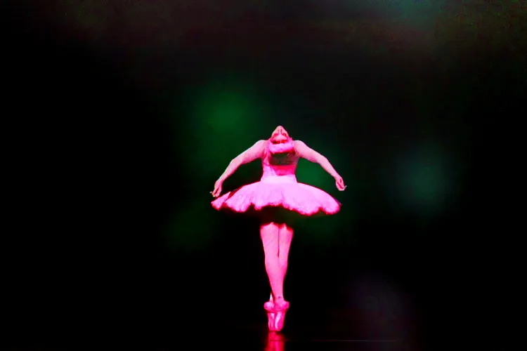 BLACK SWAN 33