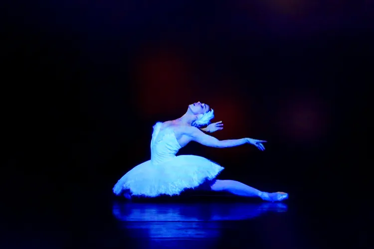 BLACK SWAN 24