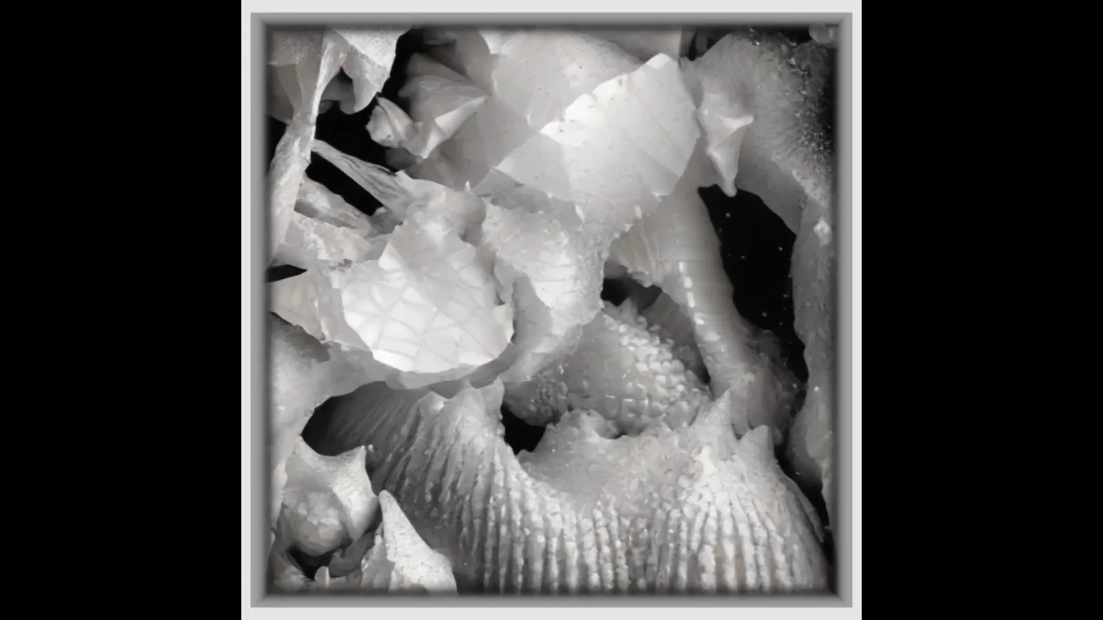 Horasis "Liminalis Corpus"