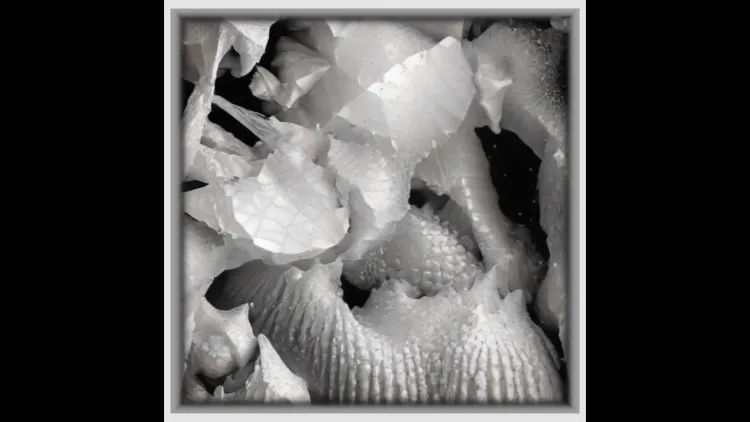 Horasis "Liminalis Corpus"