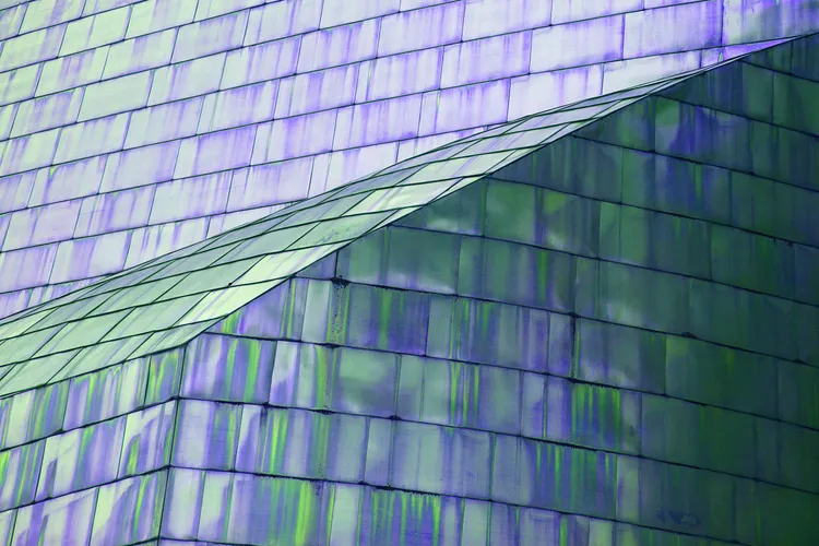 IN THE CITY 48
