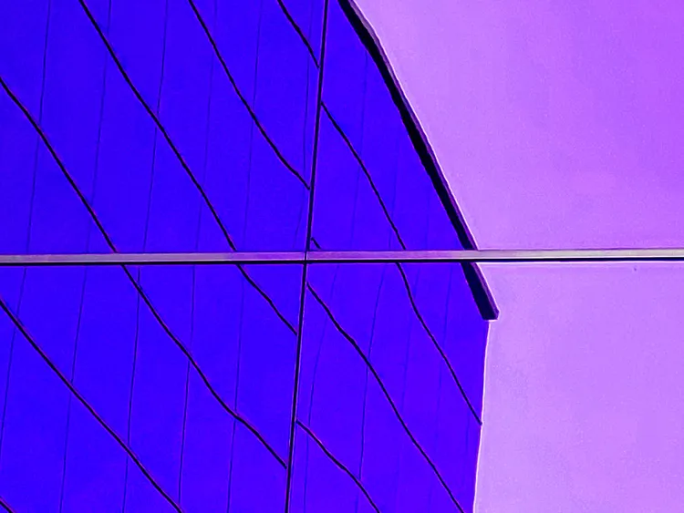 IN THE CITY 5