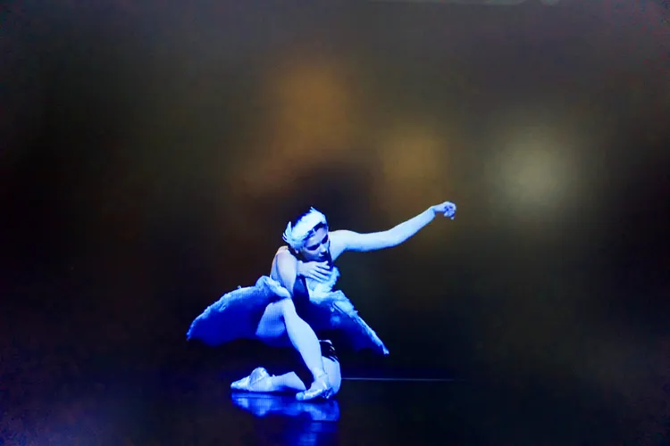 BLACK SWAN 49