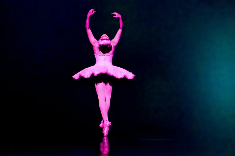 BLACK SWAN 66