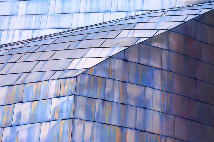 IN THE CITY 51