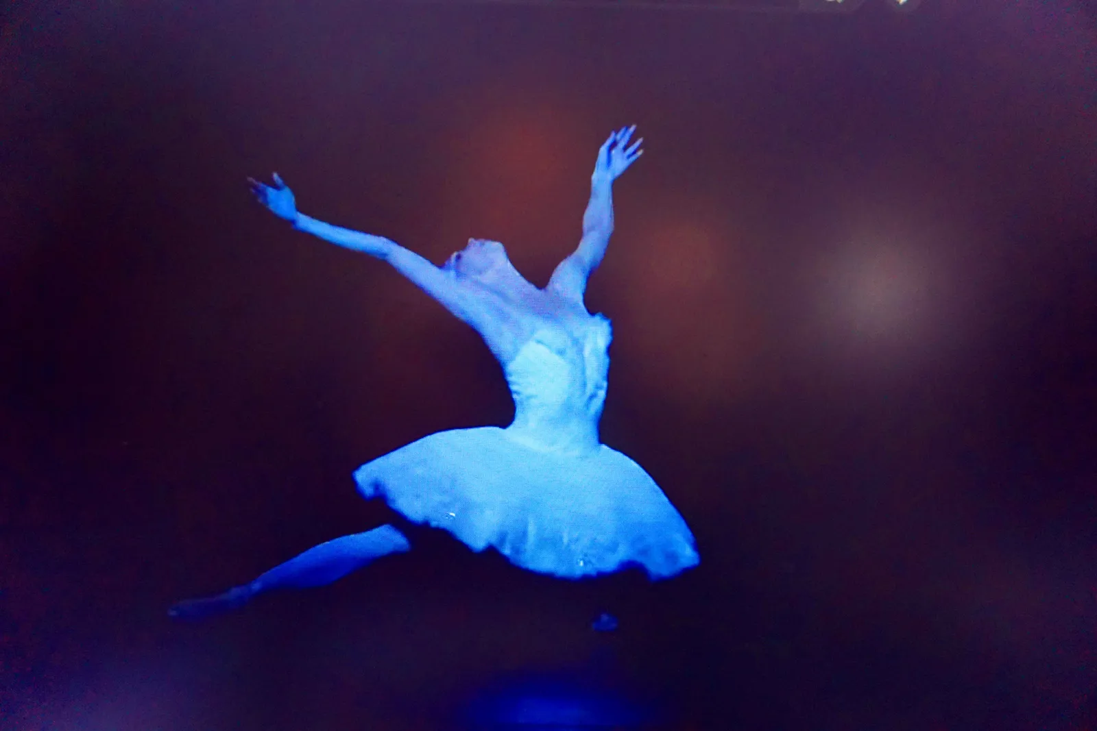 BLACK SWAN 93