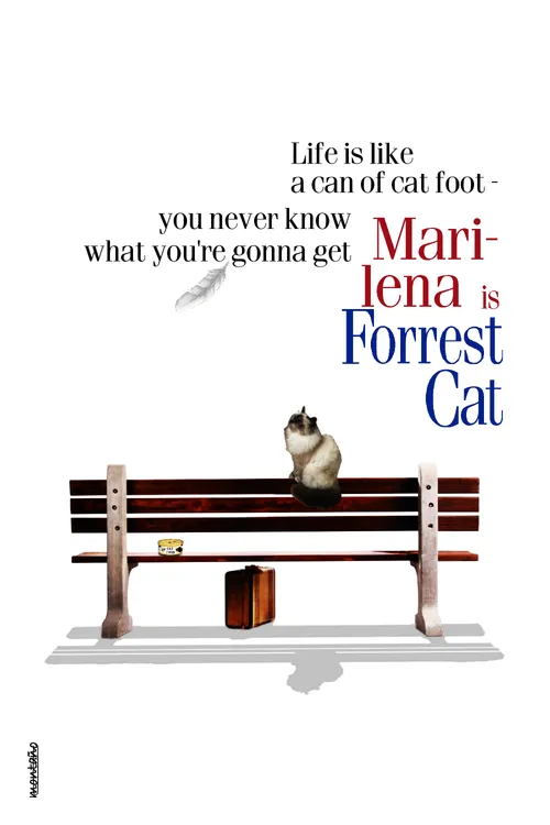 Cats on Movies