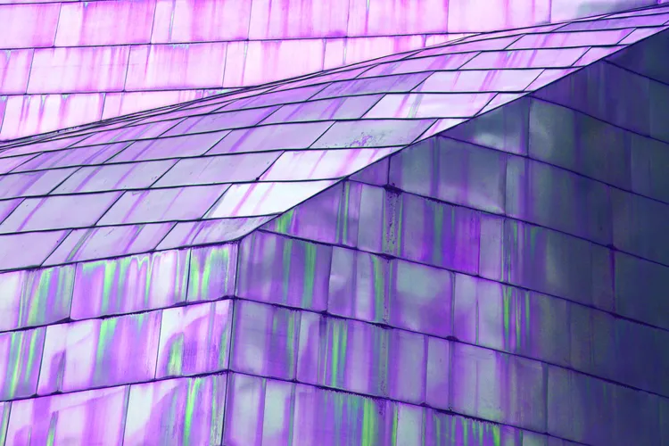 IN THE CITY 52