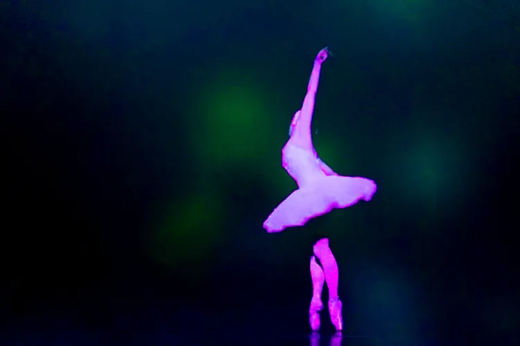 BLACK SWAN 23