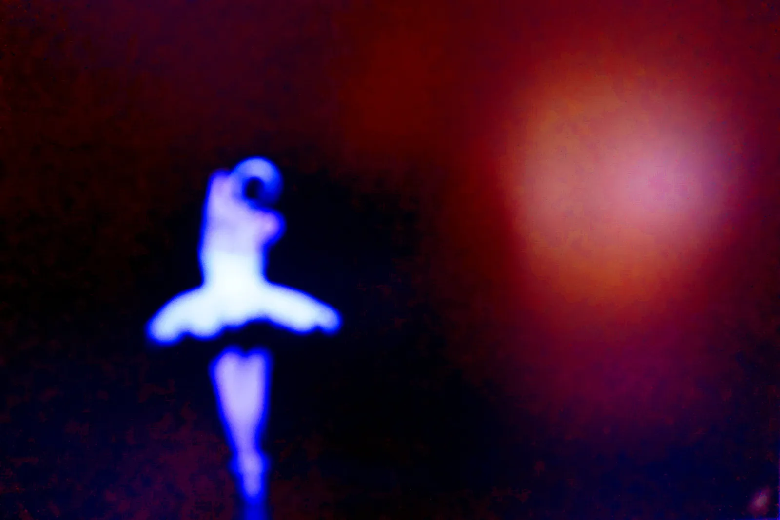BLACK SWAN 91