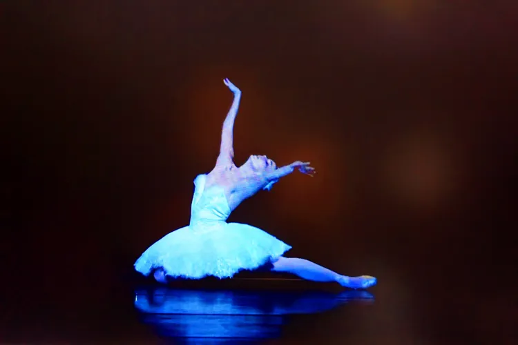 BLACK SWAN 28