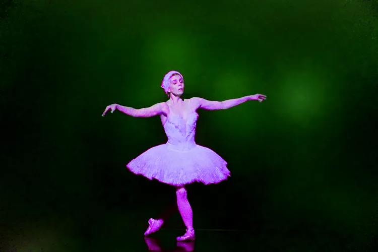 BLACK SWAN 51