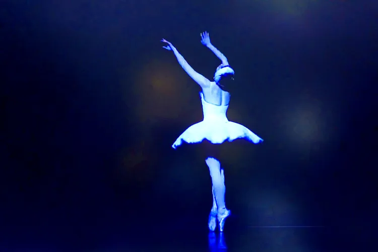 BLACK SWAN 37
