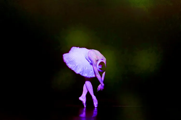 BLACK SWAN 36