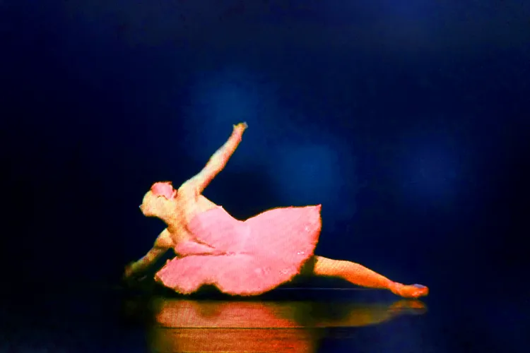BLACK SWAN 26