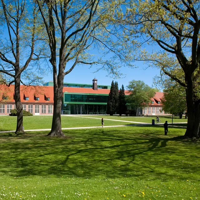 Constructor University kampüs fotoğrafı 4