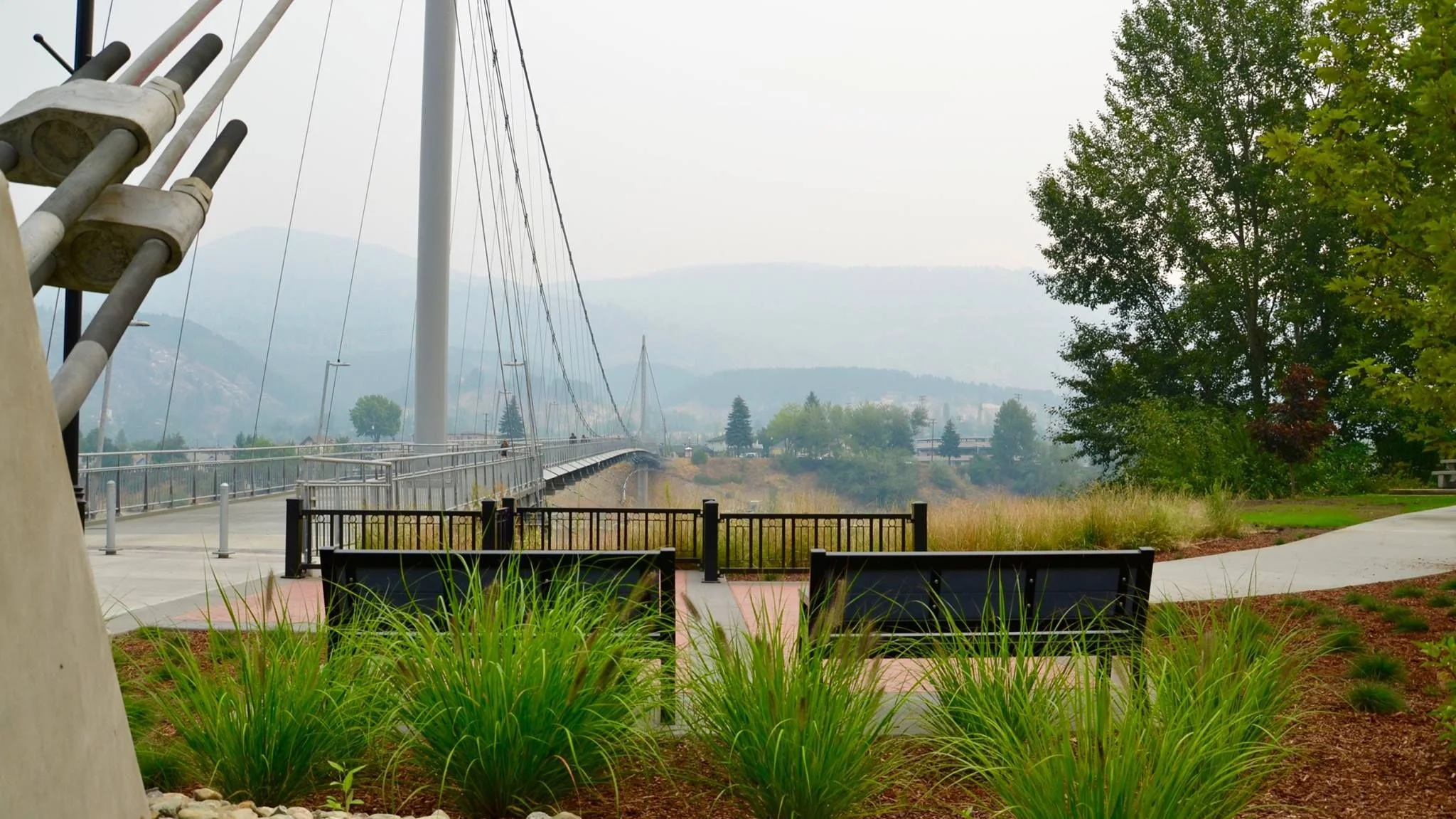 Columbia River Skywalk Trail BC — ambient loop