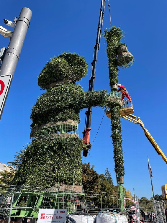 El peregrino de flores que vigila atento la Catedral de Burgos