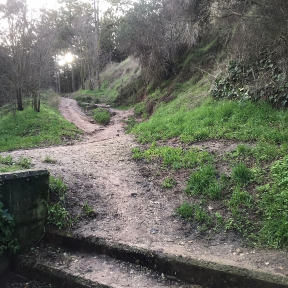 El riesgo de querer caminar por el Cinturón Verde, con unas administraciones que lo abandonan a su suerte