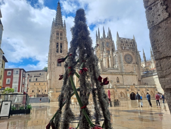 ¡Bienvenidos a la Fiesta de las Flores de Burgos! Recorrido por los principales puntos decorativos