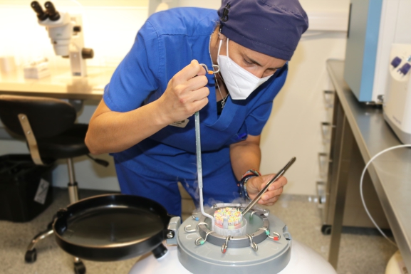 España lidera el congreso europeo de medicina reproductiva con su investigación en IA aplicada