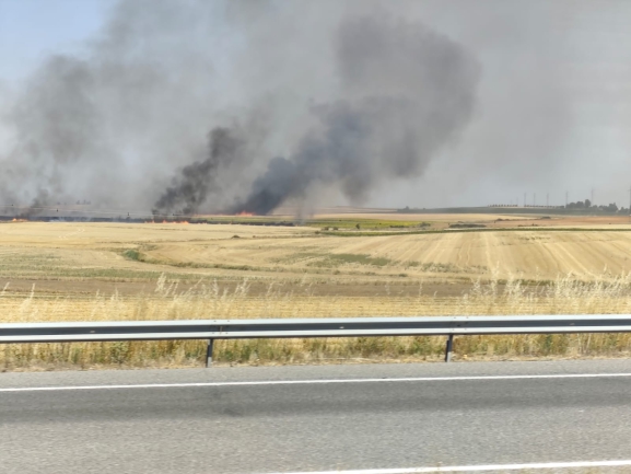 Publican las ayudas de 5.500 euros a autónomos y pymes de las localidades afectadas por los incendios