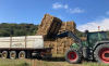 Foto 1 - Agricultores de Burgos env&iacute;an dos camiones de forraje para los animales afectados por los incendios en Zamora