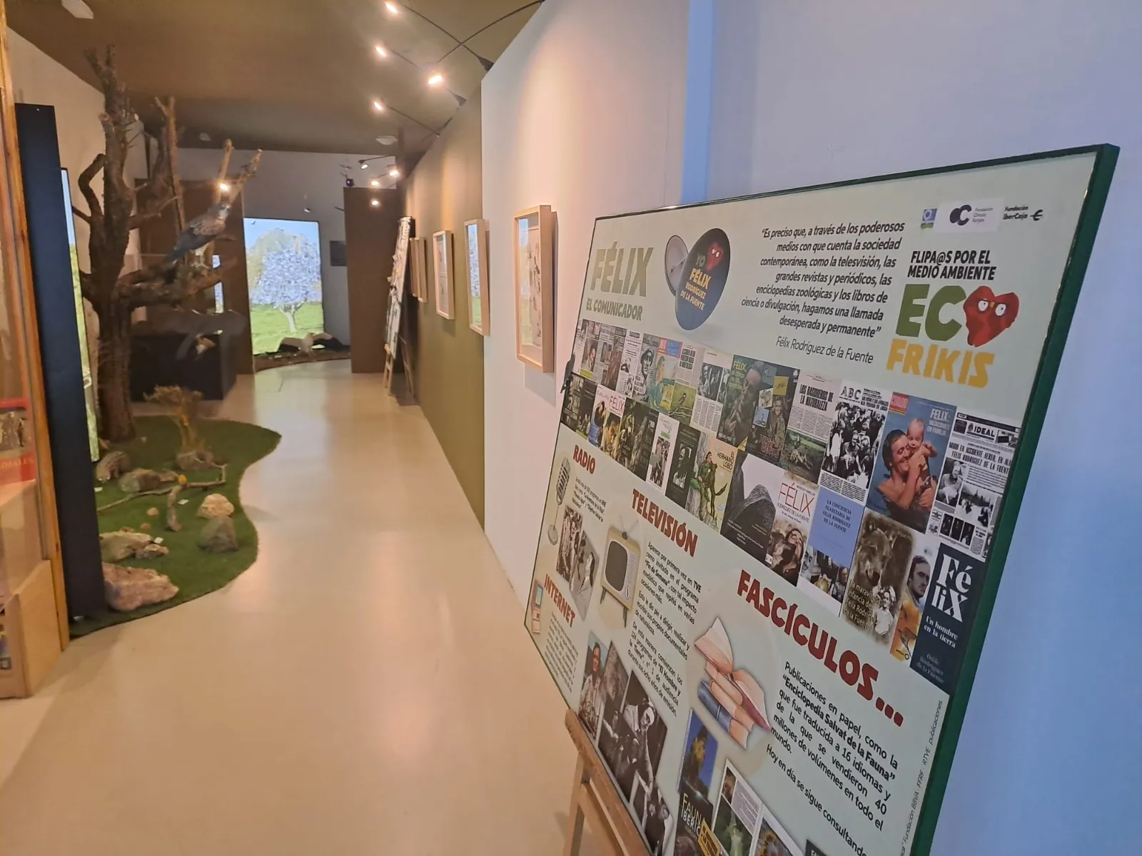 Burgos celebra el legado de Félix Rodríguez de la Fuente con más de 50 actividades