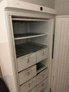 GALERÍA |  Suciedad, basura y ratones: así ha quedado el Monasterio de Belorado tras el desahucio