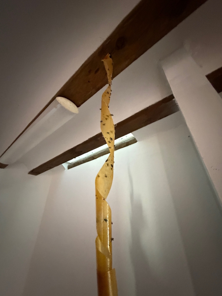 GALER&Iacute;A | Suciedad, basura y deterioro: as&iacute; ha quedado el Monasterio de Belorado tras el desahuc