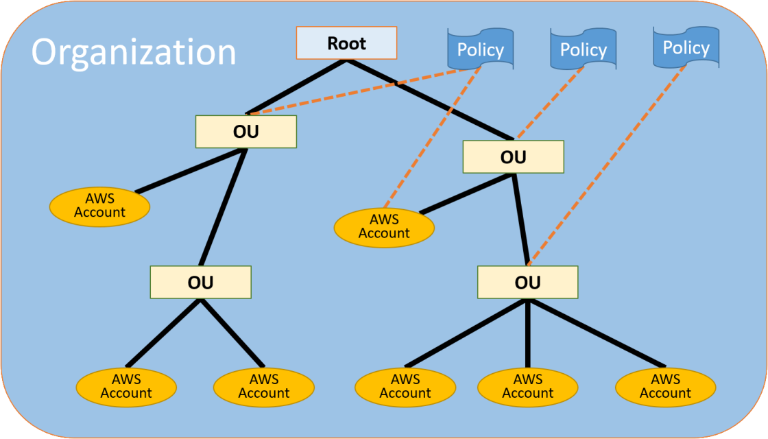 Basic Organization