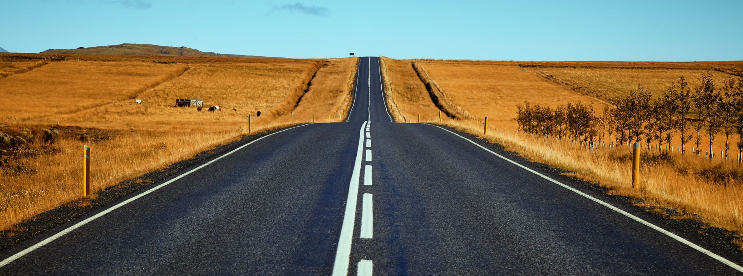 Le code de la route est-il plus facile à l'examen qu'à l'entraînement en ligne ?