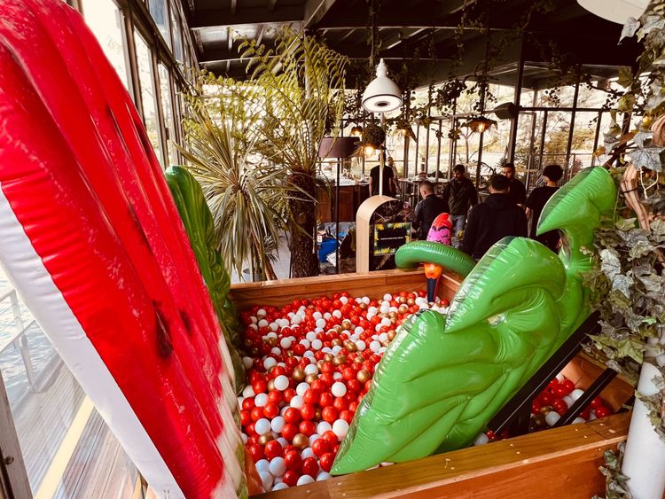 Location piscine à balles pour adultes avec bar intégré