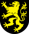 Wappen der Stadt Auerbach-Vogtland