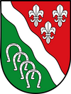 Stadtwappen von Isernhagen