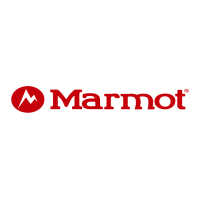 Marmot