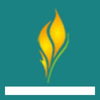 Flametree Yoga Studio